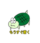 たいそうずわり君スタンプ（個別スタンプ：40）