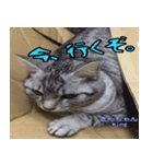 きんとくさん！（個別スタンプ：3）