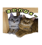 きんとくさん！（個別スタンプ：5）