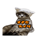 きんとくさん！（個別スタンプ：7）