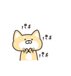 柴犬★小太郎のスタンプ（個別スタンプ：5）