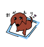 WanWan's（個別スタンプ：39）