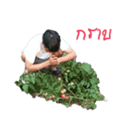 JAR NUT V1（個別スタンプ：18）