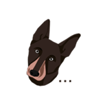Shepherd Life（個別スタンプ：4）