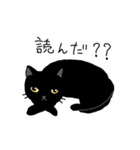 コーギーのそらくんと黒猫のカルマちゃん（個別スタンプ：28）