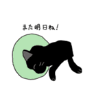 コーギーのそらくんと黒猫のカルマちゃん（個別スタンプ：29）