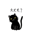コーギーのそらくんと黒猫のカルマちゃん（個別スタンプ：34）