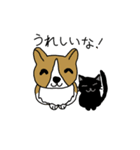 コーギーのそらくんと黒猫のカルマちゃん（個別スタンプ：40）
