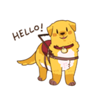 Devil's Bride - guide dog Harvey（個別スタンプ：1）