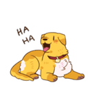 Devil's Bride - guide dog Harvey（個別スタンプ：6）