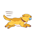 Devil's Bride - guide dog Harvey（個別スタンプ：8）