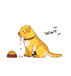 Devil's Bride - guide dog Harvey（個別スタンプ：10）