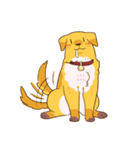 Devil's Bride - guide dog Harvey（個別スタンプ：11）