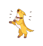Devil's Bride - guide dog Harvey（個別スタンプ：12）