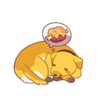 Devil's Bride - guide dog Harvey（個別スタンプ：14）