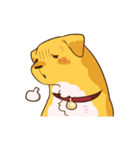 Devil's Bride - guide dog Harvey（個別スタンプ：34）