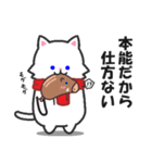 日常使えるスタンプ集！マフラーにゃんこ2（個別スタンプ：40）