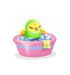 Bean Parrots（個別スタンプ：18）