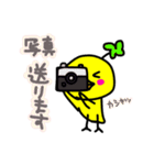 ピヨ吉のゆる～い敬語（個別スタンプ：13）