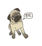 Pugsly（個別スタンプ：10）