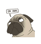 Pugsly（個別スタンプ：12）