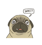 Pugsly（個別スタンプ：13）