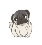 Pugsly（個別スタンプ：16）