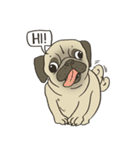 Pugsly（個別スタンプ：17）