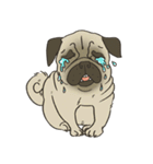 Pugsly（個別スタンプ：19）