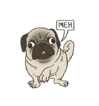 Pugsly（個別スタンプ：23）