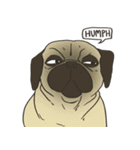 Pugsly（個別スタンプ：25）
