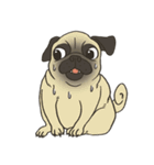 Pugsly（個別スタンプ：29）