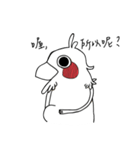 coco bird（個別スタンプ：1）