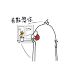 coco bird（個別スタンプ：21）