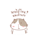 stupid and joke enjoy cat.（個別スタンプ：6）