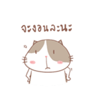 stupid and joke enjoy cat.（個別スタンプ：7）