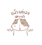 stupid and joke enjoy cat.（個別スタンプ：24）
