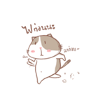 stupid and joke enjoy cat.（個別スタンプ：37）