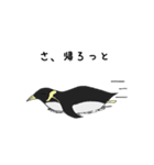工程ペンギン（個別スタンプ：9）