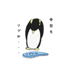 工程ペンギン（個別スタンプ：25）