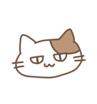じとねこ！（個別スタンプ：1）