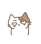 じとねこ！（個別スタンプ：9）