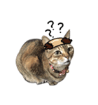 Mimier's Daily（個別スタンプ：1）