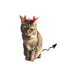 Mimier's Daily（個別スタンプ：3）
