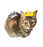 Mimier's Daily（個別スタンプ：5）