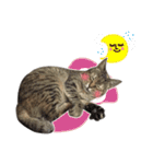 Mimier's Daily（個別スタンプ：8）