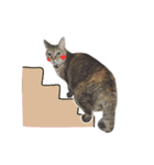 Mimier's Daily（個別スタンプ：11）
