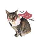 Mimier's Daily（個別スタンプ：13）