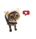 Mimier's Daily（個別スタンプ：14）