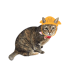 Mimier's Daily（個別スタンプ：16）